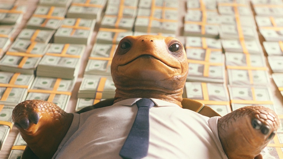 Turtle_Money Bed_04 1 (2)